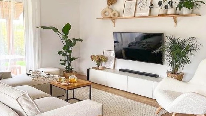 Wall mounted TV