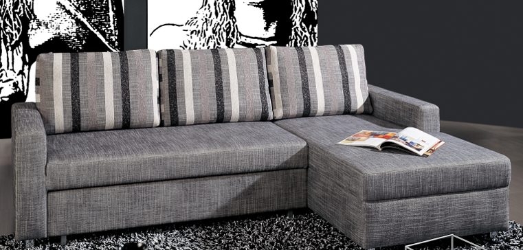 L Shape Sofa Bed