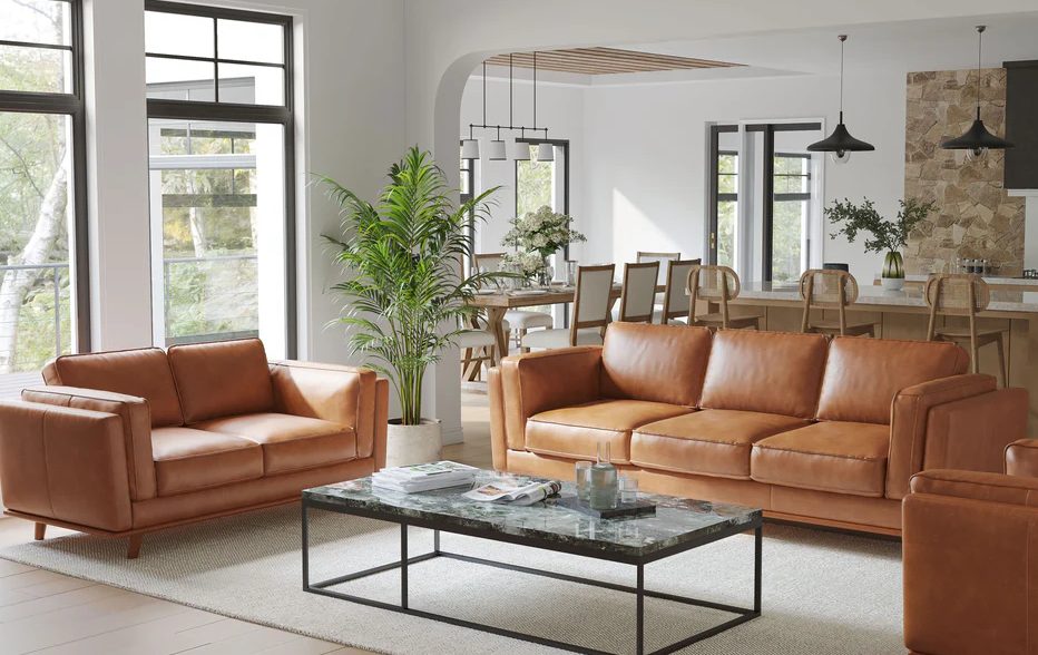Leather Sofa Sets